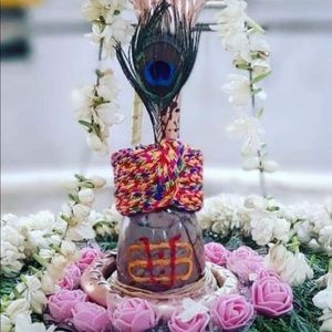 Meet your Posher, Saloni